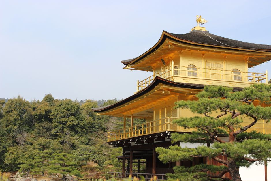 Golden Pavilion Kinkaku-ji among lush gardens in Kyoto, Japan, showcasing beautiful Japanese architecture.